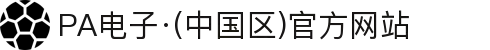 PA电子·(中国区)官方网站